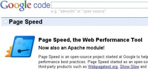 page-speed-google
